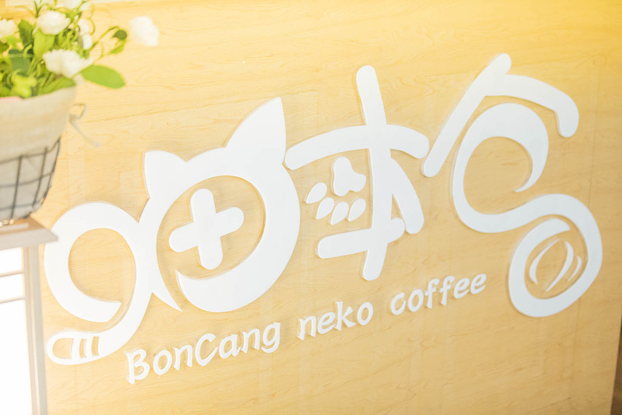 猫咖（图ZNjkyODQ1MTY=） - 宠物摄影 - 站酷设计师xubin1123原创素材 - 站酷ZCOOL