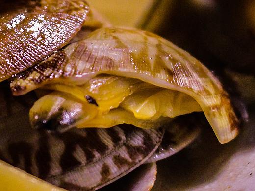 吃吃吃吃就完事了（個人主頁-ZNDMyNDcwNjA=） - 產(chǎn)品攝影 - 站酷設計師肥溫溫原創(chuàng)素材 - 站酷ZCOOL