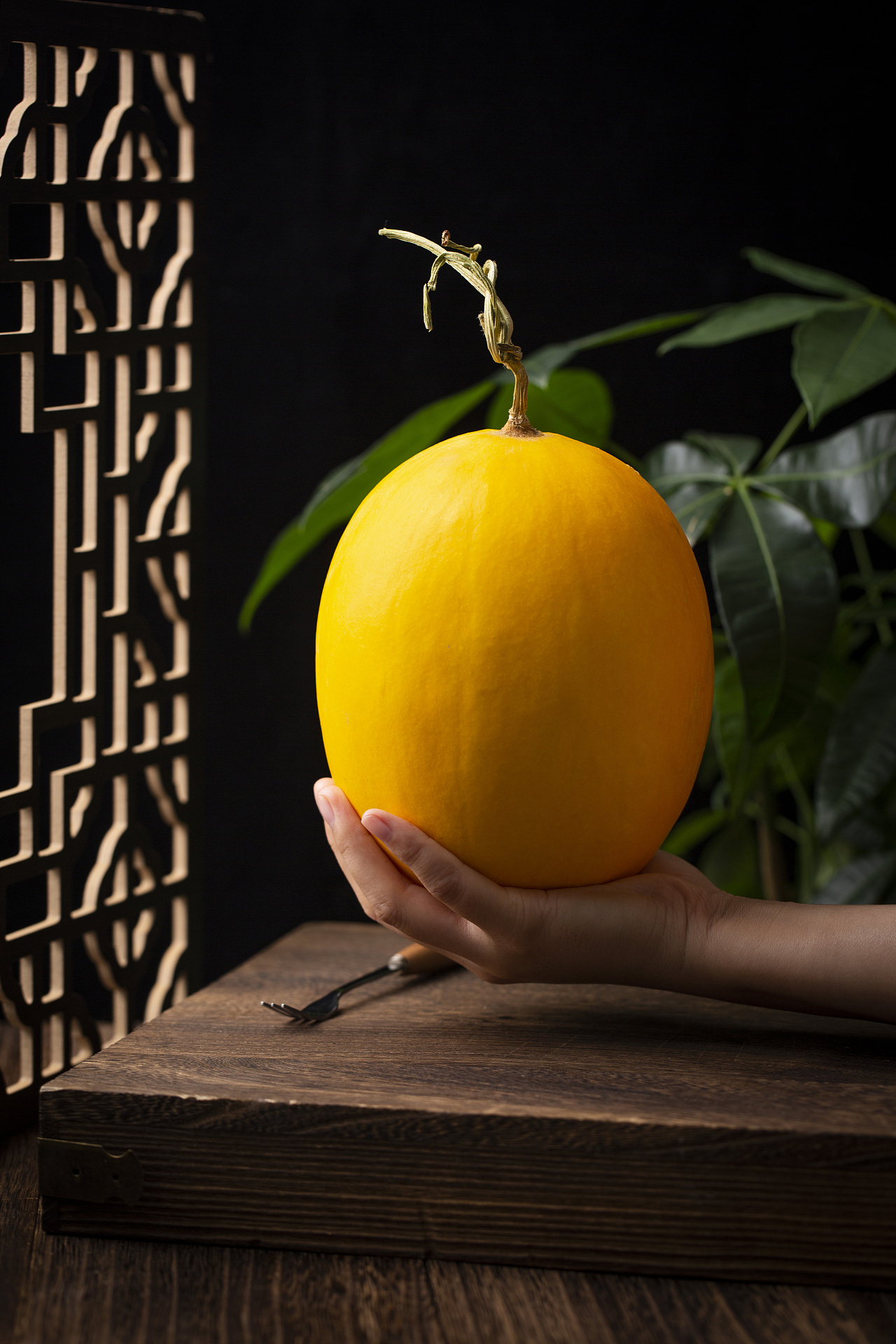 甘肃民勤金红宝蜜瓜