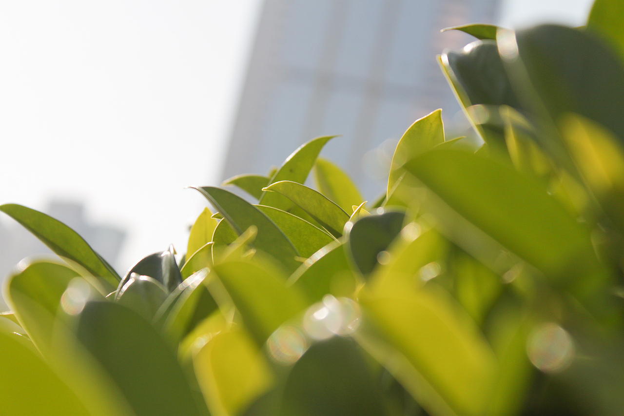 冬日深圳-街头随拍（图ZMTM3NjczNzY=） - 环境/建筑摄影 - 站酷设计师sundyme原创素材 - 站酷ZCOOL