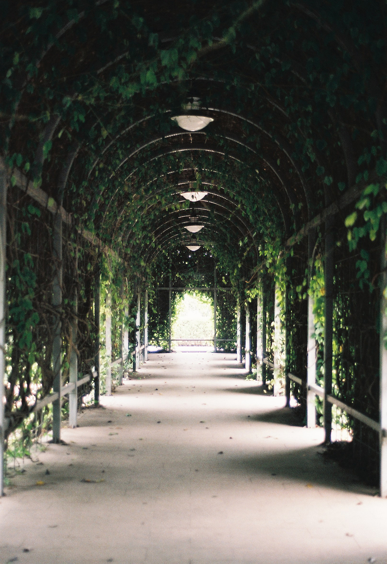 吴熙玮和他的胶片