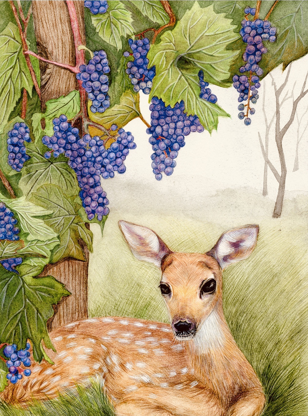 水彩 彩铅 练习广州|插画师asqi3_艾妞206003年前