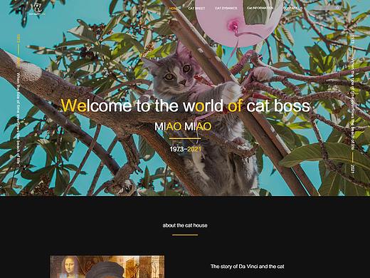 猫咪网站