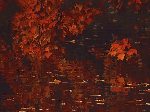 天平山 | 秋已深 冬将至（个人主页-ZNTY0OTExMzY=） - 风光摄影 - 站酷设计师鱼没有脚原创素材 - 站酷ZCOOL