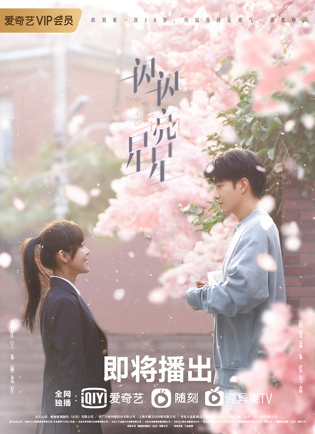 网剧《一闪一闪亮星星》海报（图ZMjkzOTk5OTY0） - 海报 - 站酷设计师丹寧原创素材 - 站酷ZCOOL