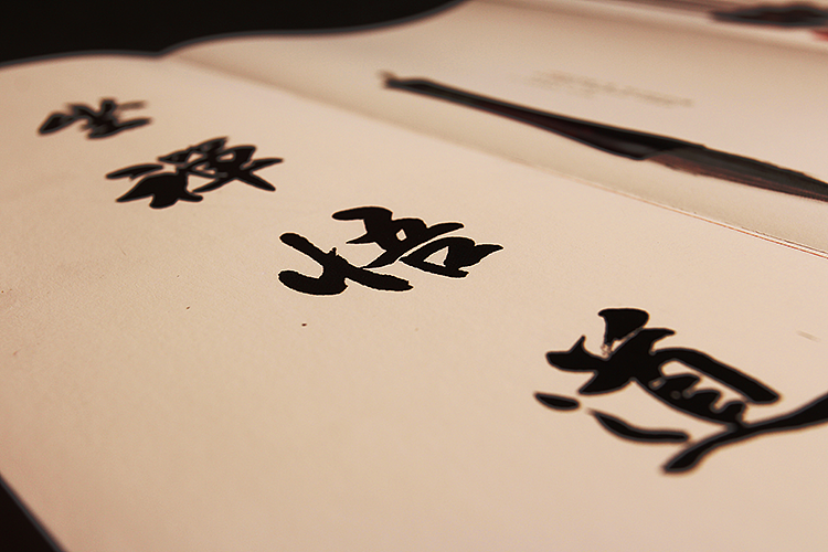 >书籍装帧设计_照片（图ZMTkzMDg4ODQ=） - 书籍/画册 - 站酷设计师zq2zyj原创素材 - 站酷ZCOOL