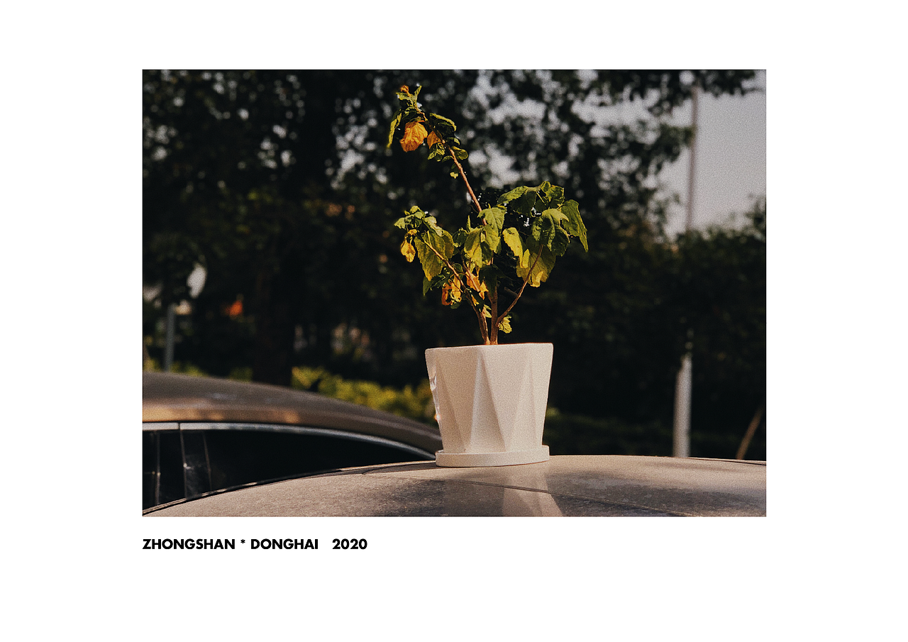 来自2020的手机摄影总结（图ZMjM4OTIzNjc2） - 人文/纪实摄影 - 站酷设计师霖马桶原创素材 - 站酷ZCOOL