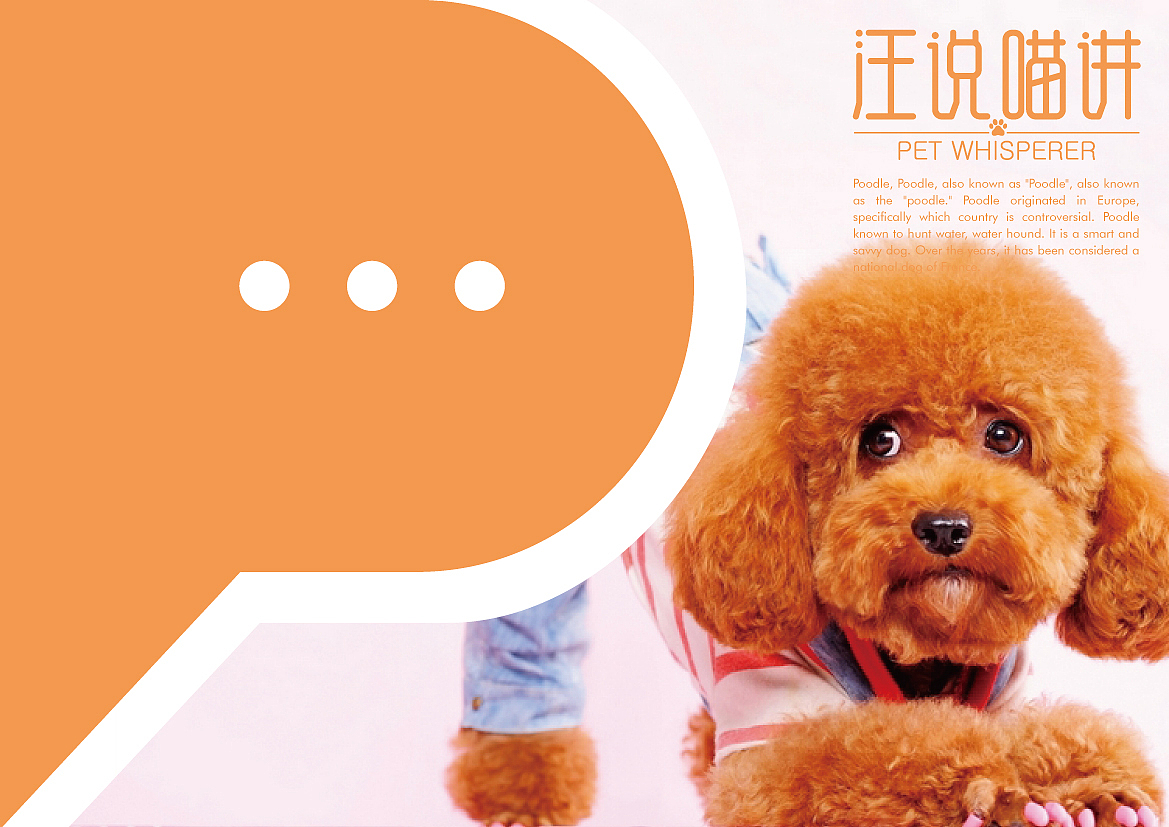 品牌LOGO形象设计提案展示