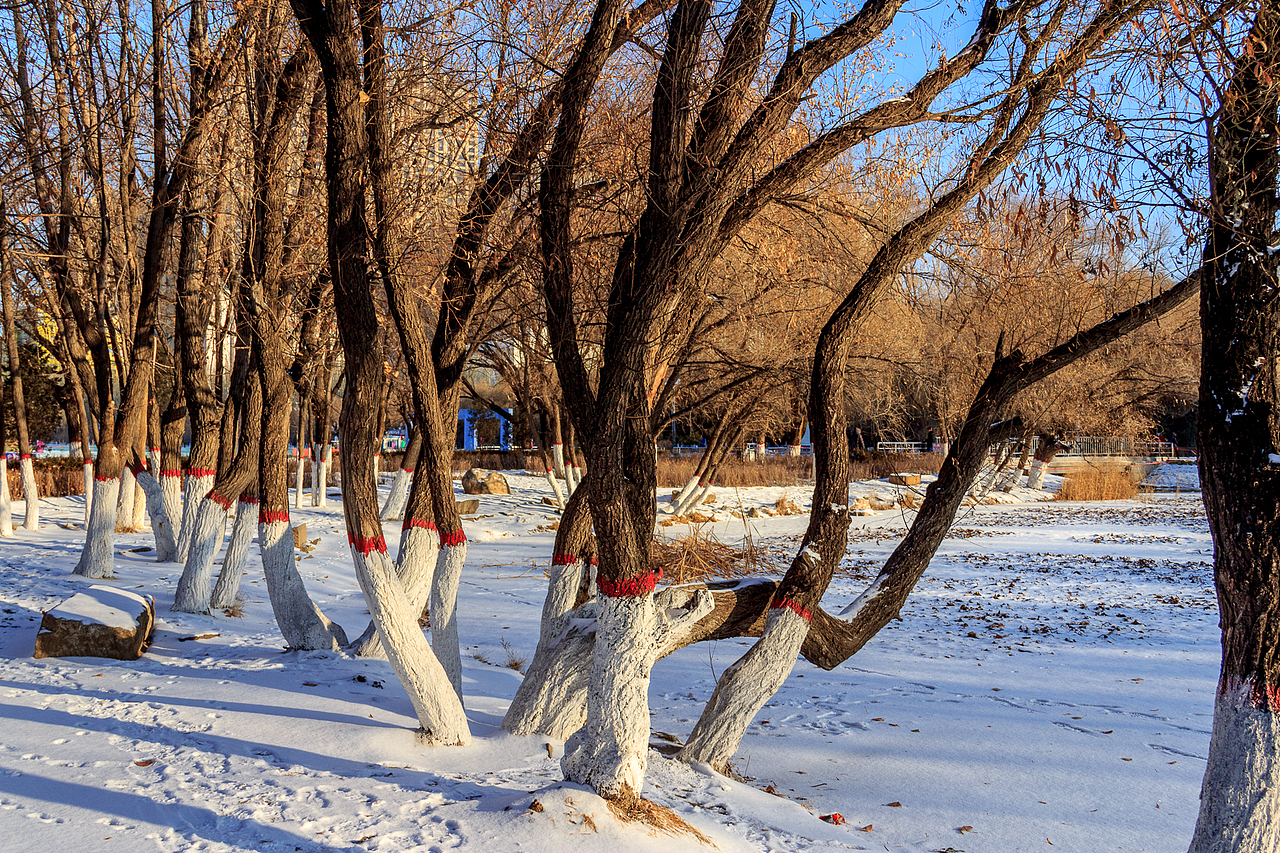 下雪啦（图ZNjgwNjAyMDg=） - 风光摄影 - 站酷设计师沸腾视觉原创素材 - 站酷ZCOOL