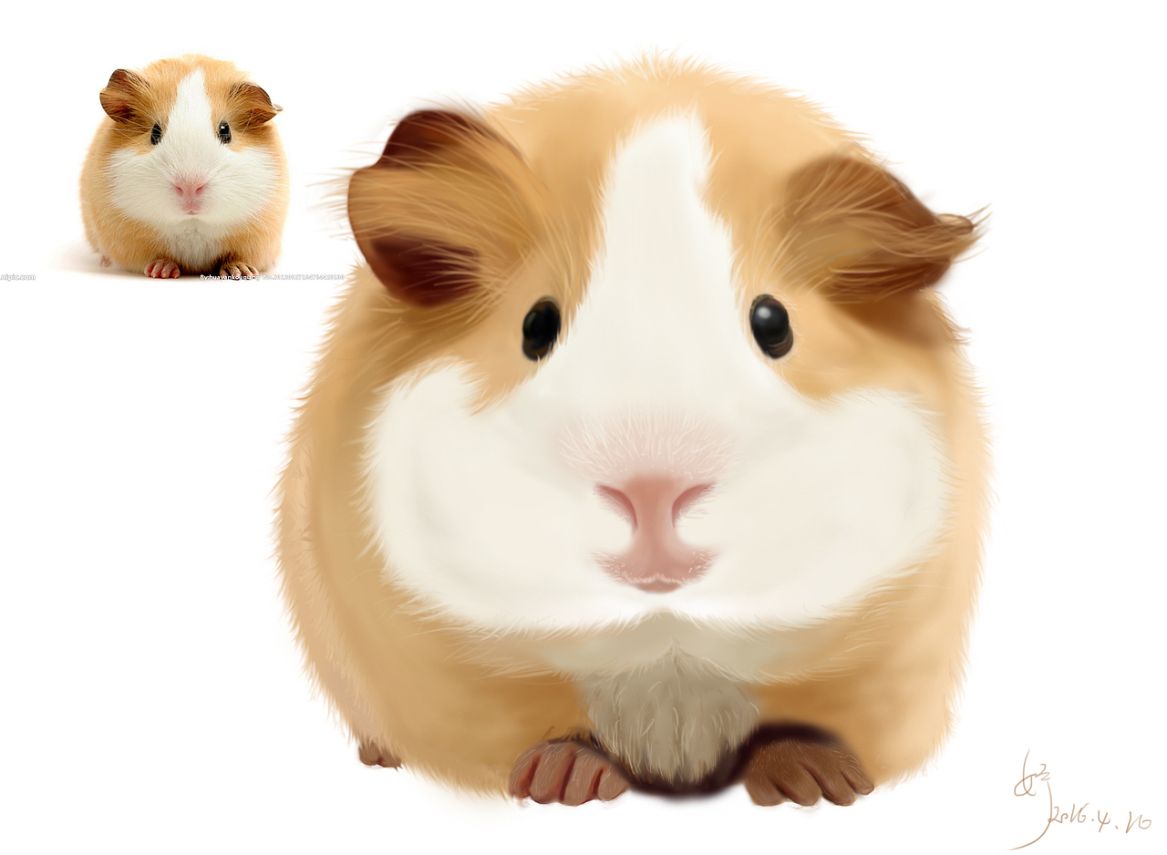 刚刚学习手绘,忙找工作了~~~