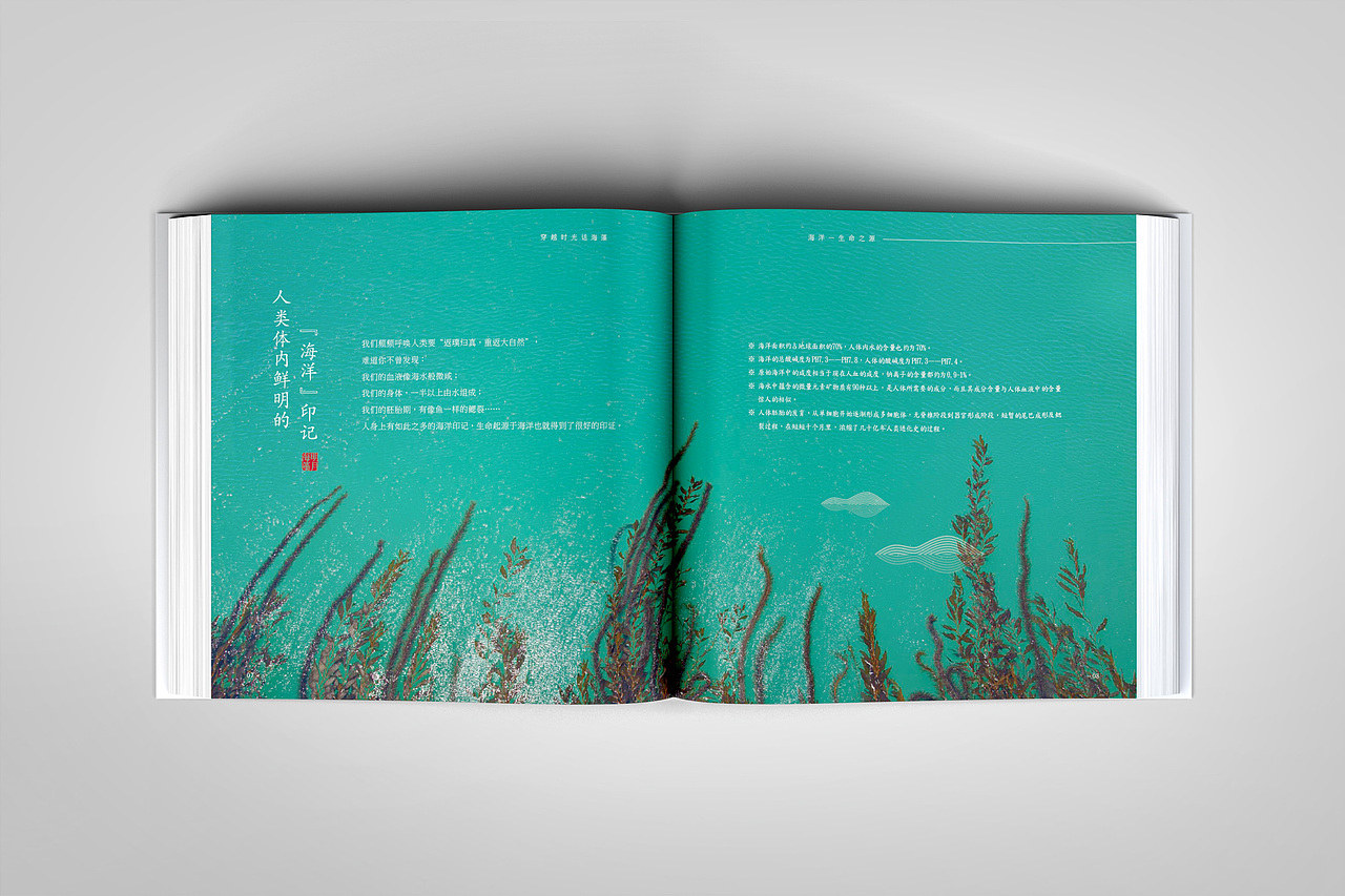 海藻文化手册 公司画册 企业画册（图ZMTAwMDgyNDg0） - 书籍/画册 - 站酷设计师王萍CY原创素材 - 站酷ZCOOL
