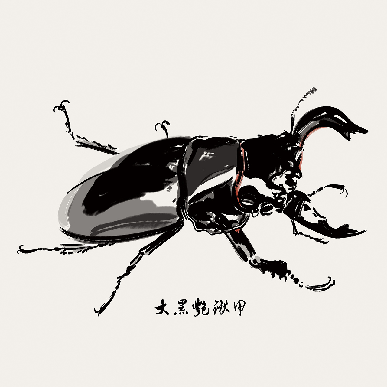 100张水墨甲虫|插画|创作习作|小启儒 - 原创作品 - 站酷 (ZCOOL)