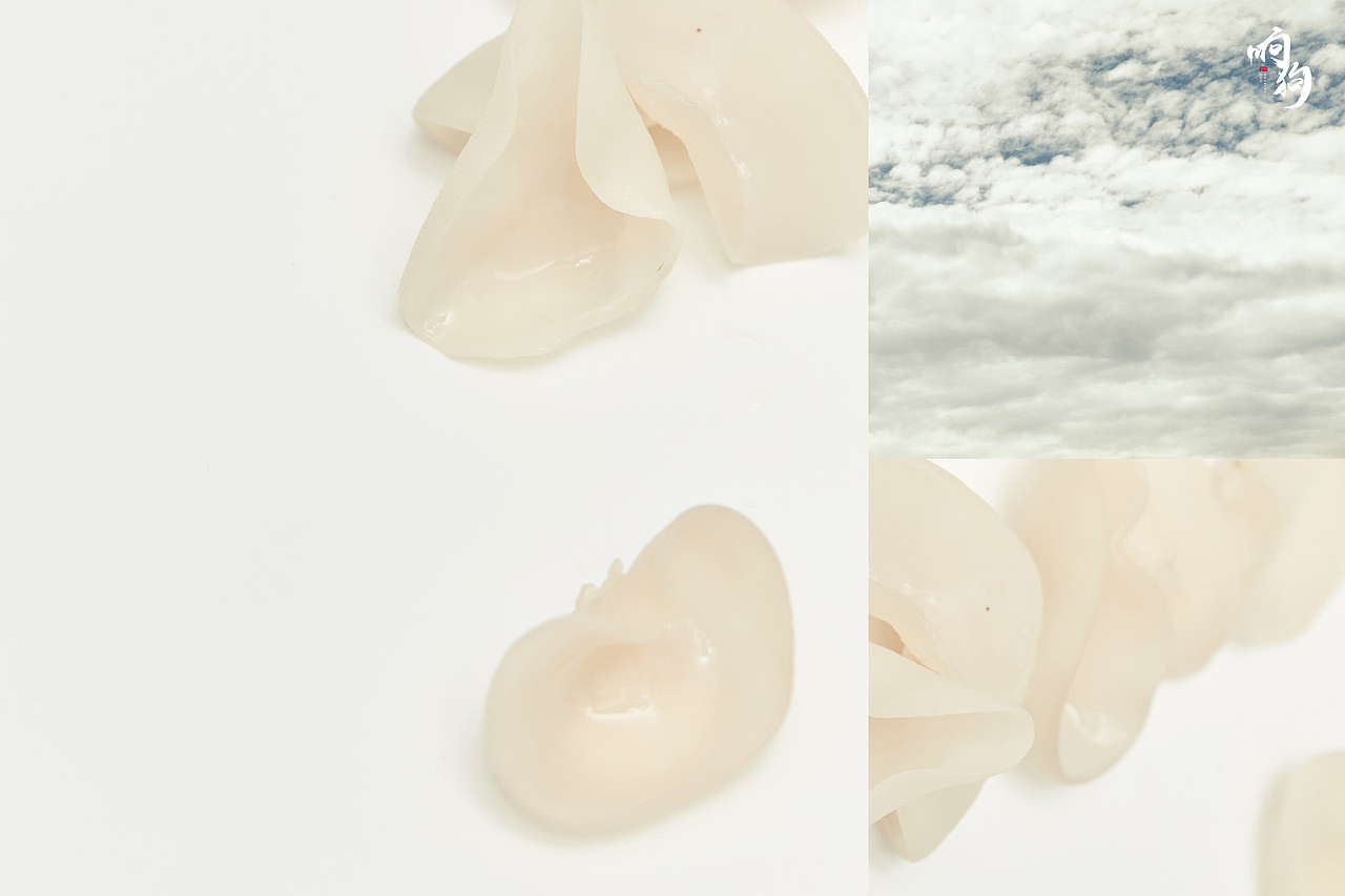 美食摄影|哈尔滨响狗商业摄影《樟子松》山珍 木耳（图ZMTExNDQ3MjQw） - 产品摄影 - 站酷设计师RoaringDog原创素材 - 站酷ZCOOL