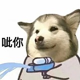 幼稚园的小哈的头像