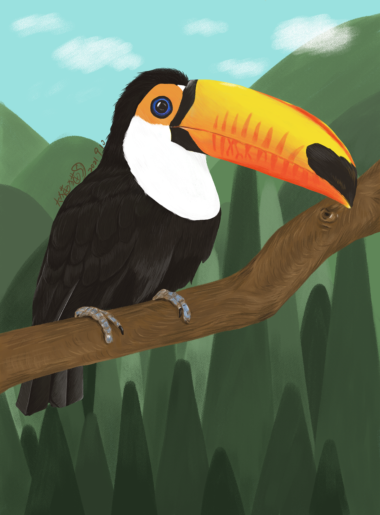 巨嘴鸟|插画|创作习作|a大猫猫i - 原创作品 - 站酷 (zcool)