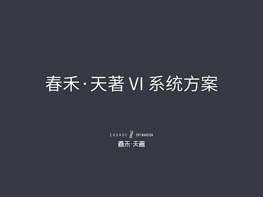 春禾天著地产提案分享