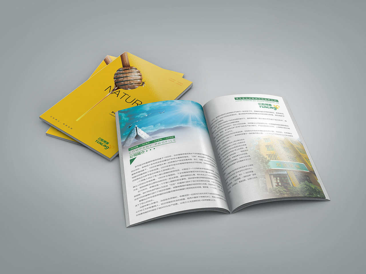 云岭蜂蜜画册设计（图ZNTQ0NjM1OTY=） - 书籍/画册 - 站酷设计师blake灬原创素材 - 站酷ZCOOL