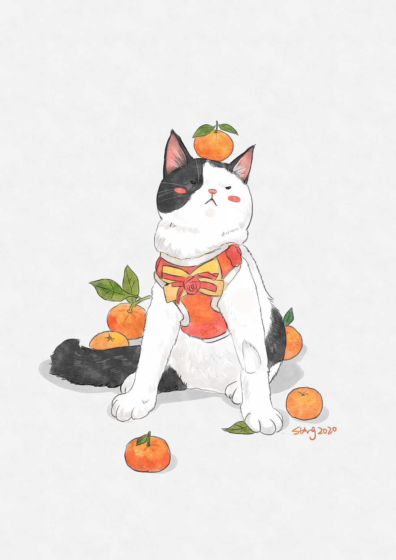 一只叫墨子的猫（图ZMTk2NDg2MjQw） - 创作习作 - 站酷设计师梁家大叔原创素材 - 站酷ZCOOL