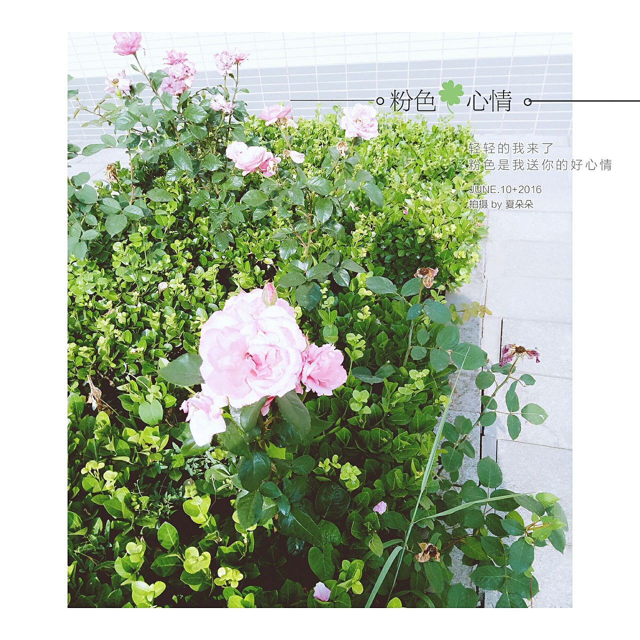 随手拍系列之二（图ZNTA5NjEwNjA=） - 人像摄影 - 站酷设计师池鱼思谁原创素材 - 站酷ZCOOL