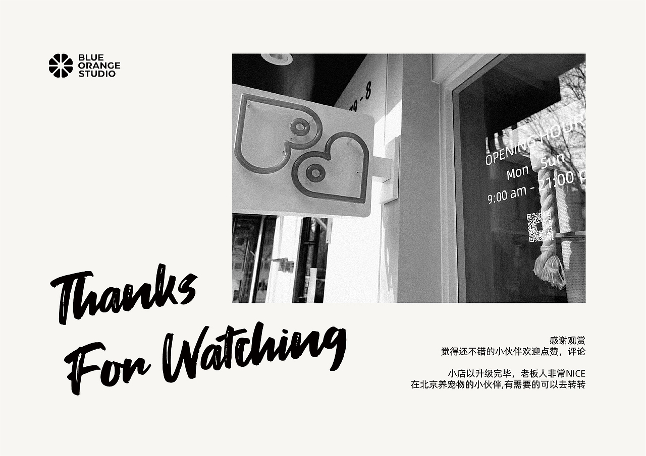 pro dote 宠物店品牌升级