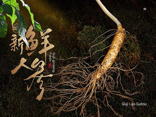 鲜参季