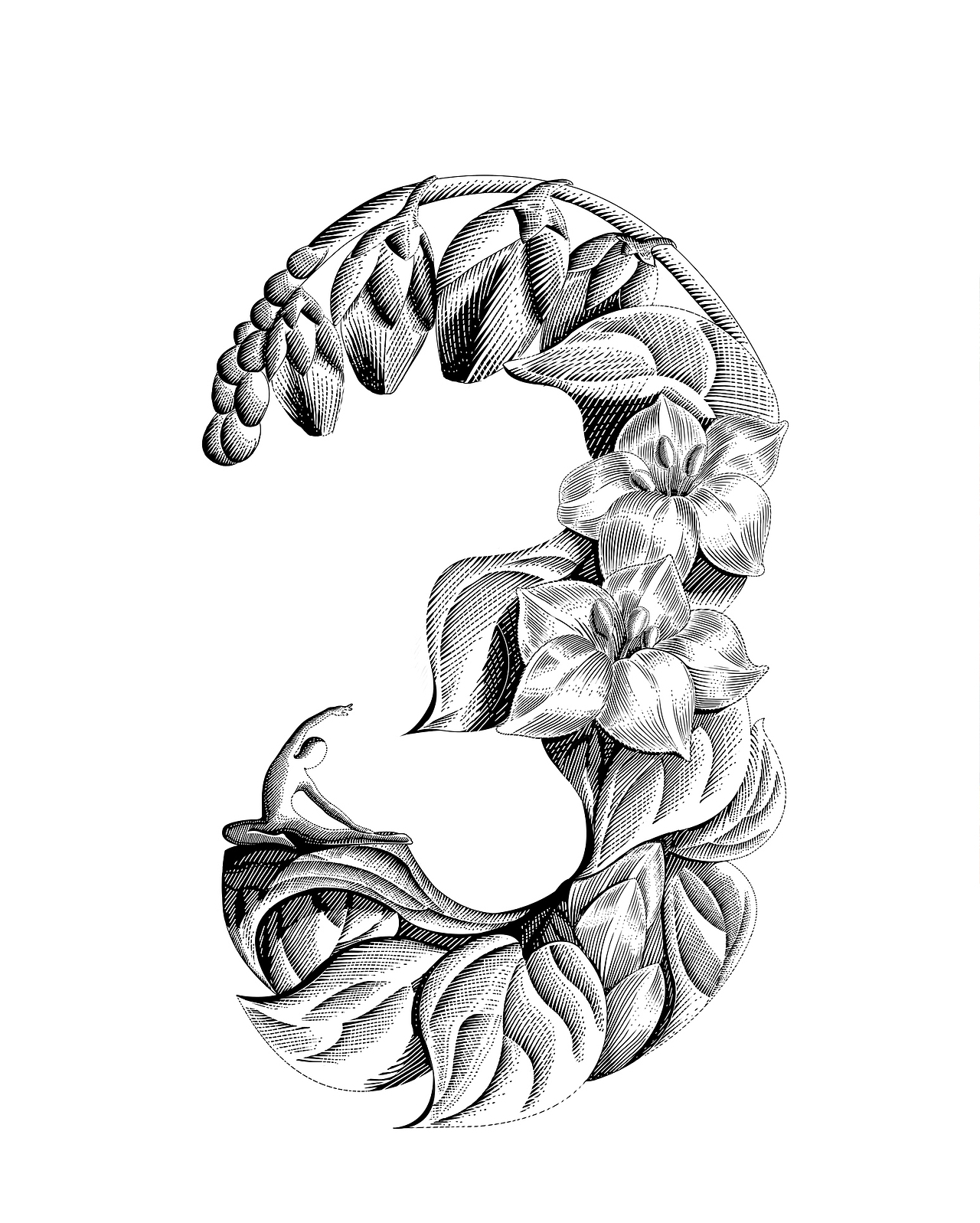 三匠苦荞茶芦丁博士包装