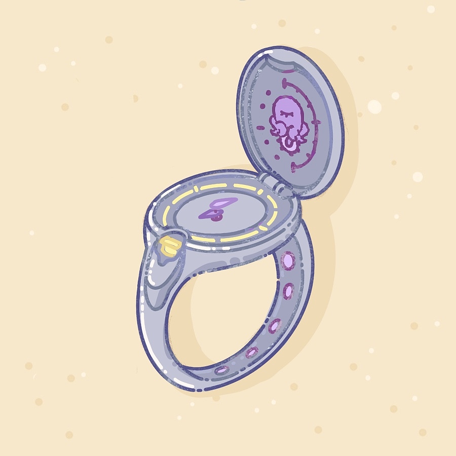 Cheya的赶海日记