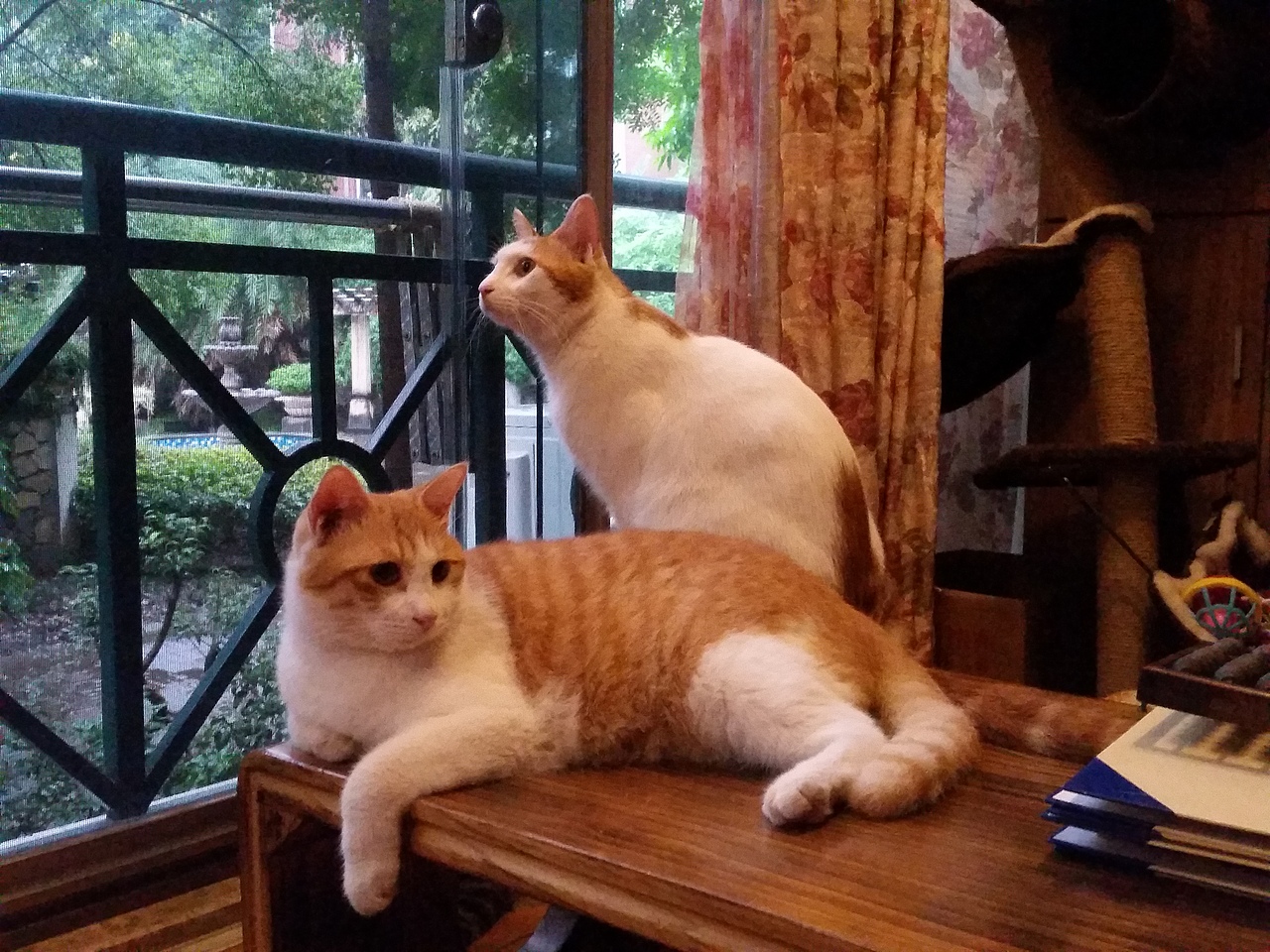 新的一年,还要努力摸鱼哟!