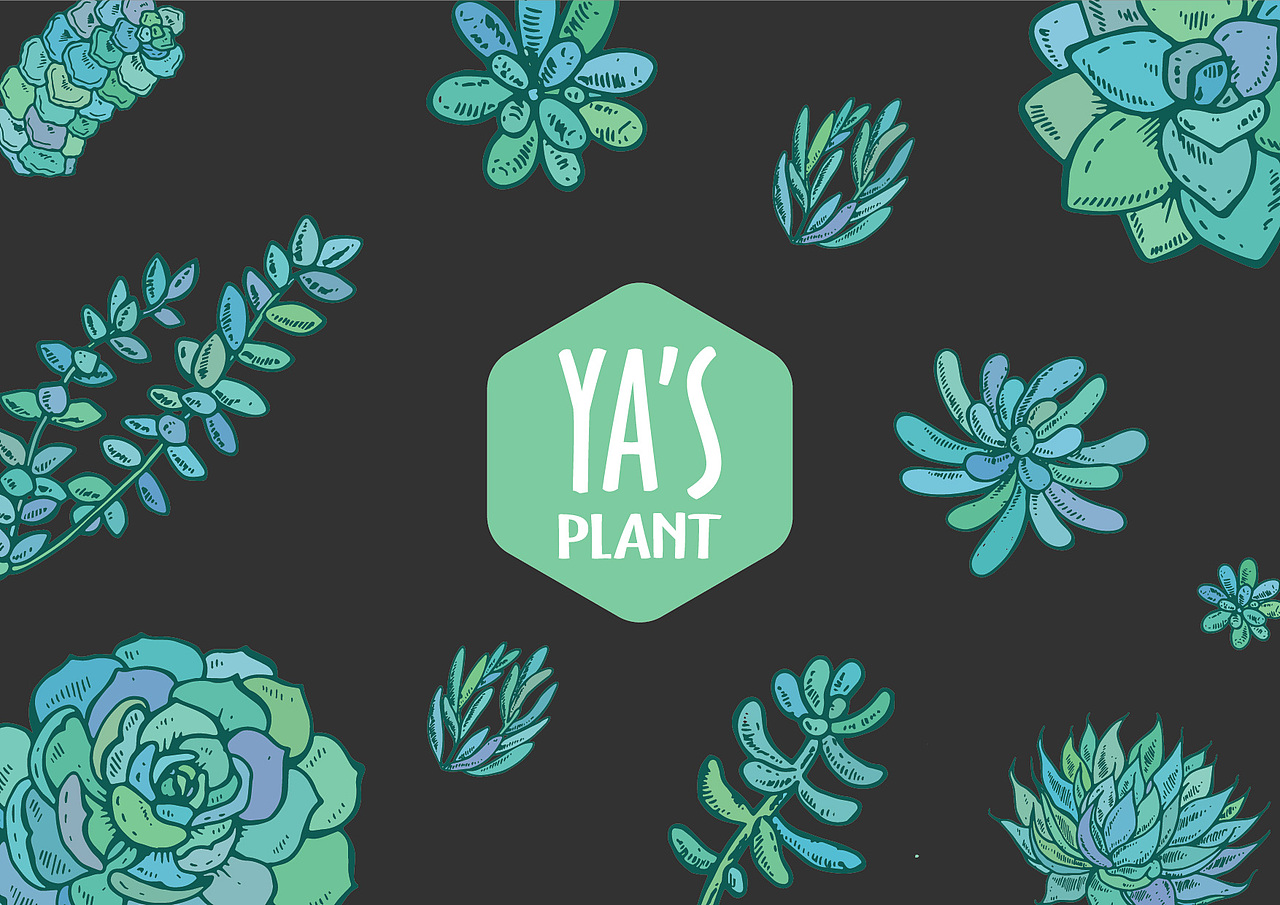 娅舍YA'S PLANT LOGO设计（图ZNjIzNzgyNzI=） - 品牌 - 站酷设计师贾大海原创素材 - 站酷ZCOOL