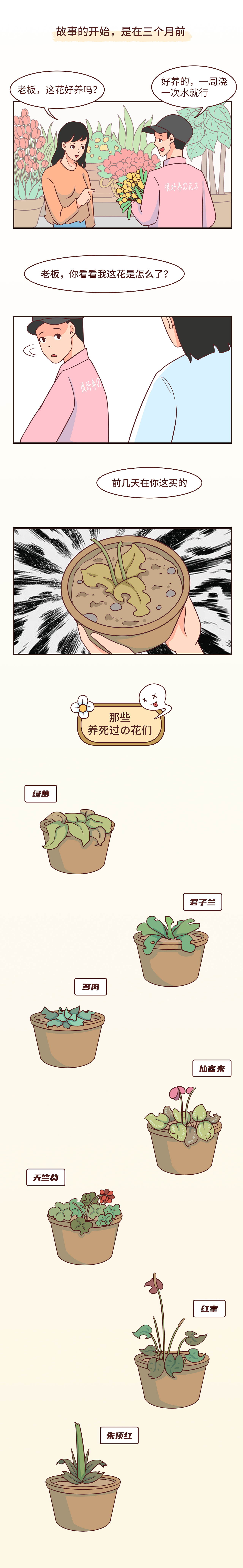 都市传说,花见愁的故事