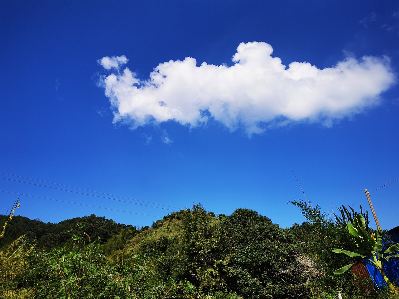 手机照片-景物篇