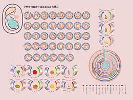 孕期食物營養(yǎng)價值及胎兒發(fā)育情況信息圖表