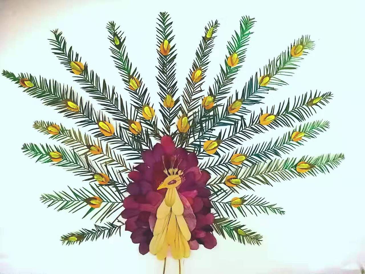 树叶贴画 花贴画 孔雀