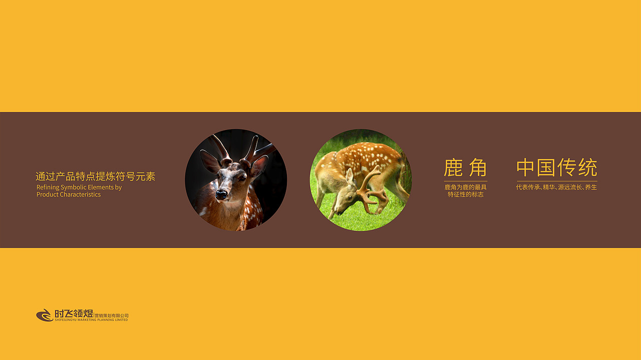 保健品（图ZMTkzMTM0ODgw） - 其他空间 - 站酷设计师随风草原创素材 - 站酷ZCOOL