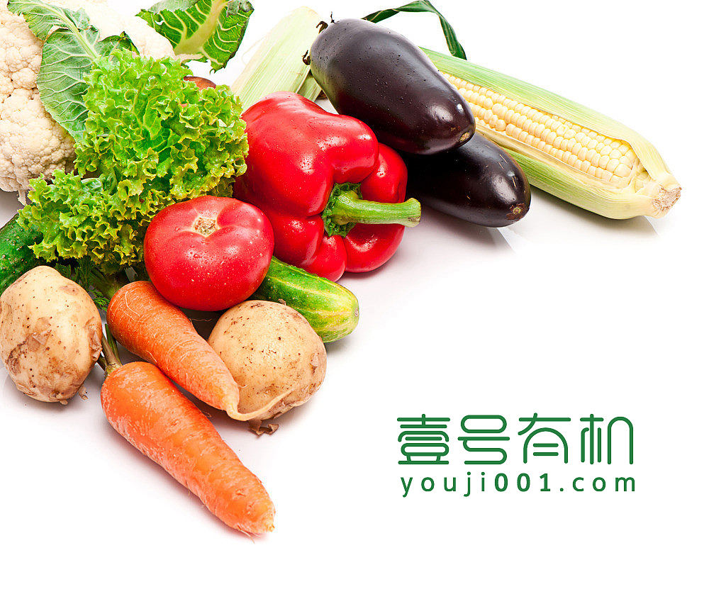 绿色有机食品平台logo字体设计-壹号有机（图ZNTIwMTk3Njg=） - Logo - 站酷设计师优度设计原创素材 - 站酷ZCOOL