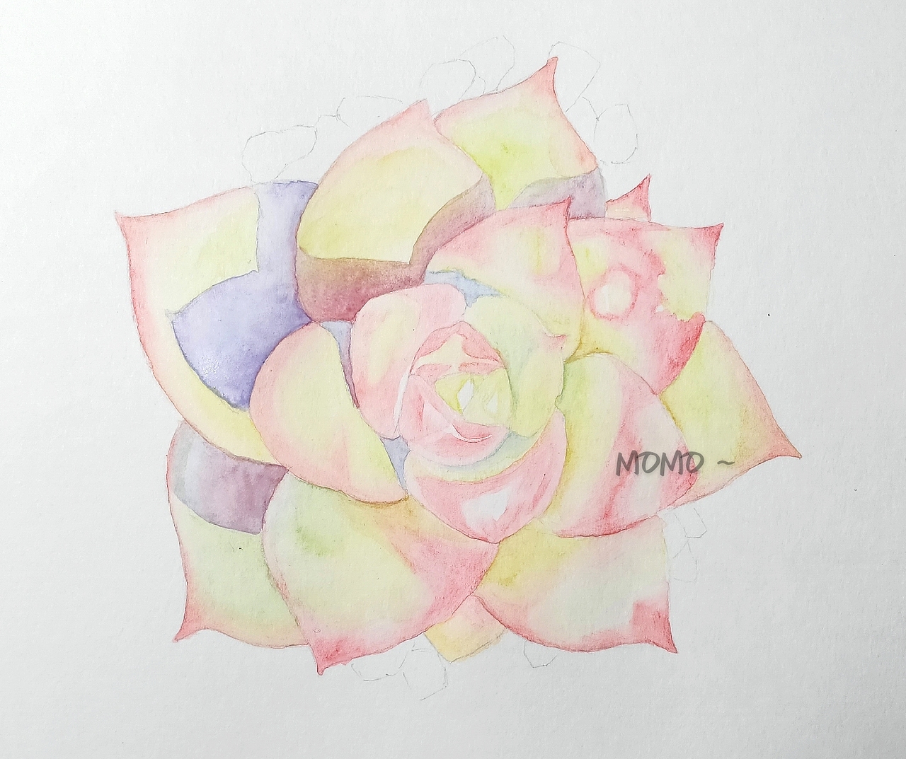 彩铅手绘多肉植物（图ZMjAxMDQ2ODk2） - 艺术插画 - 站酷设计师末末的彩铅世界原创素材 - 站酷ZCOOL