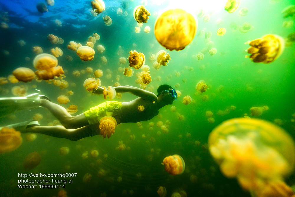 水下摄影（图ZNDUxNTY3MjA=） - 人像摄影 - 站酷设计师摄影师黄棋原创素材 - 站酷ZCOOL