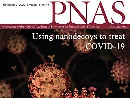 西西智研科研绘图CNS级顶刊SCI封面作品