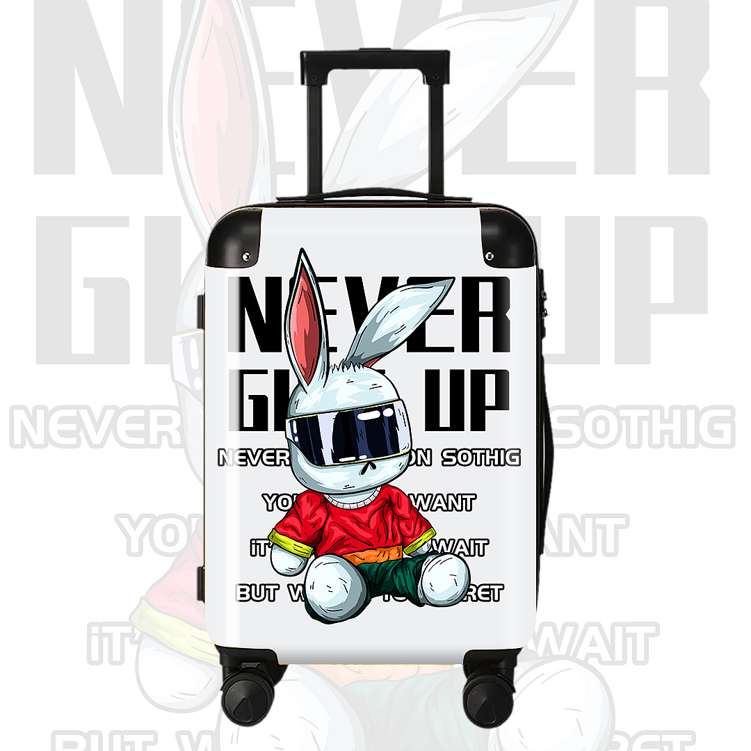 原创插画 潮牌兔子 带墨镜的兔子