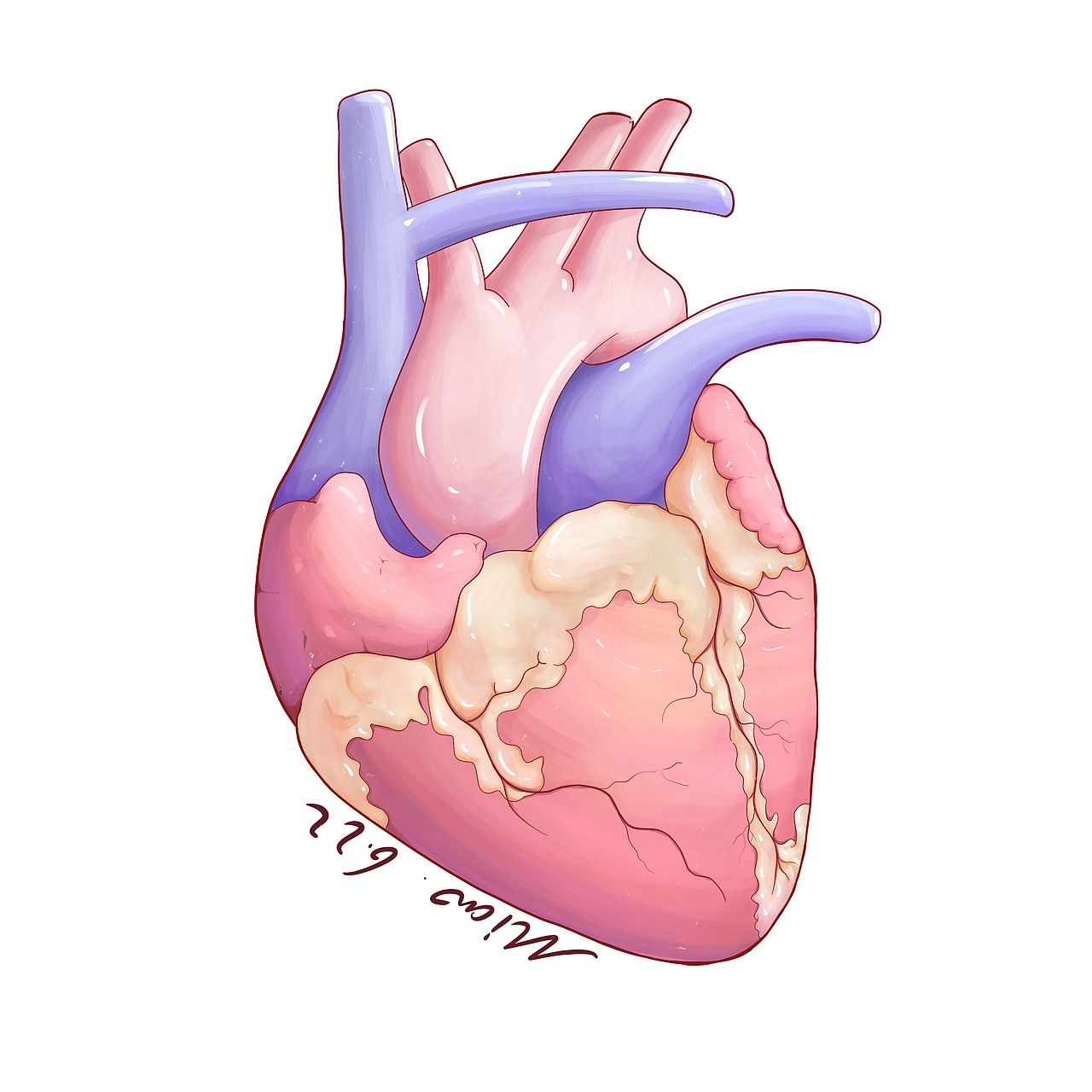 最近所画医疗插画（图ZMzEwNzM0NDky） - 商业插画 - 站酷设计师猴猴瓜子脸么么原创素材 - 站酷ZCOOL