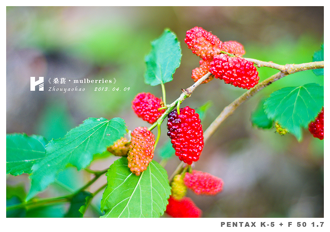 《桑葚.mulberries》（图ZODk2MDM2NA==） - 产品摄影 - 站酷设计师haodychou原创素材 - 站酷ZCOOL
