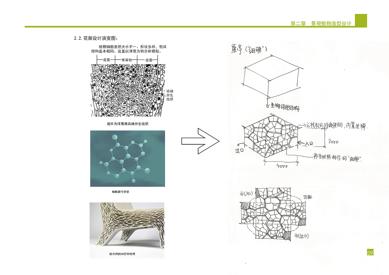 庭院景观植物设计方案
