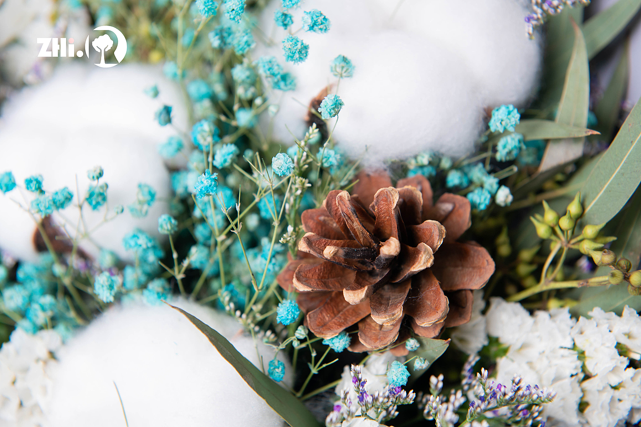 客片分享——圣诞节鲜花