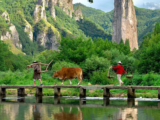 静中无妄念，忙里有欢喜？[比心]