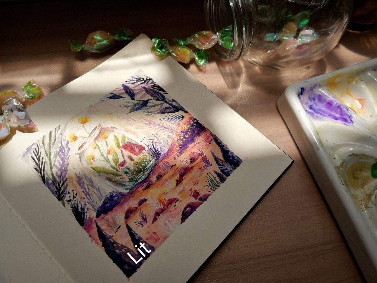 房子|追逐不一样的阳光