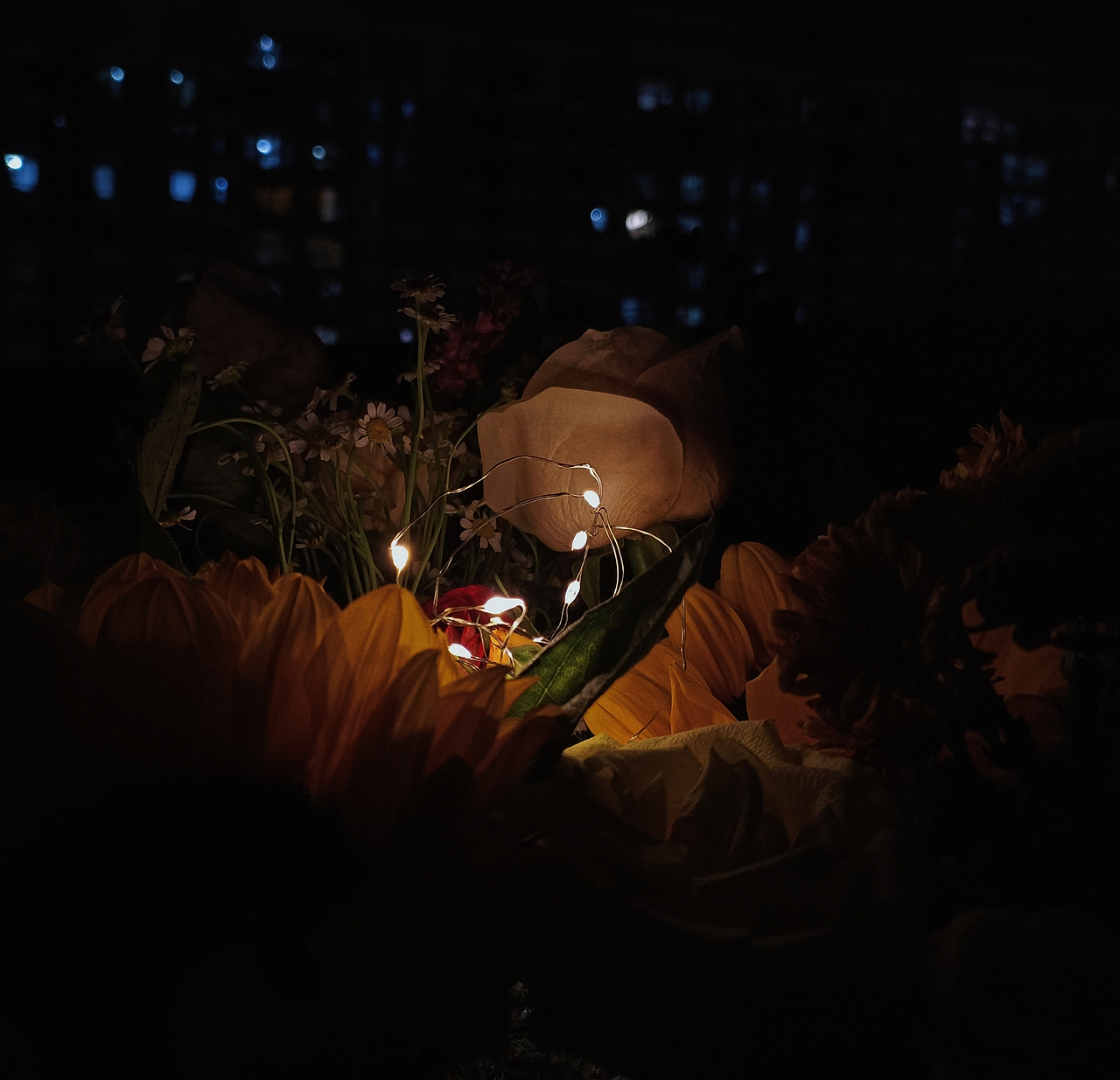 不被禁锢·即是自由