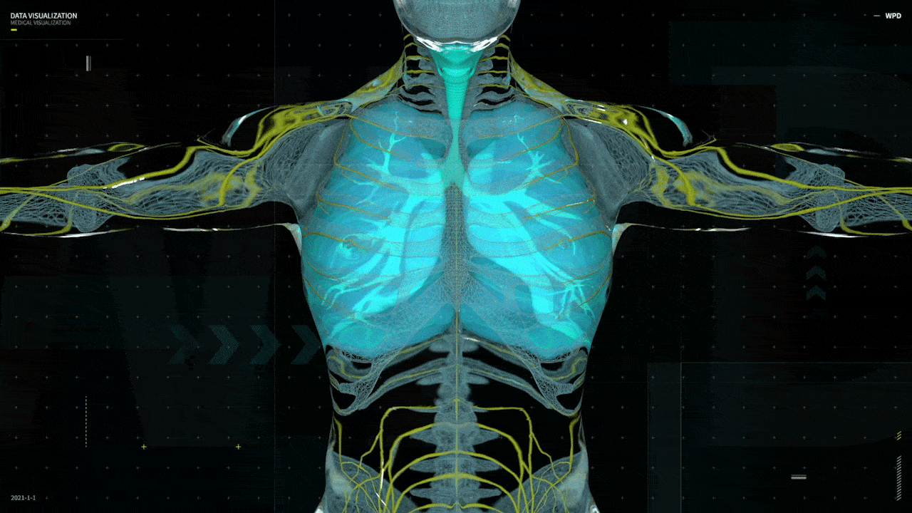 三维人体医疗可视化 hud fui data