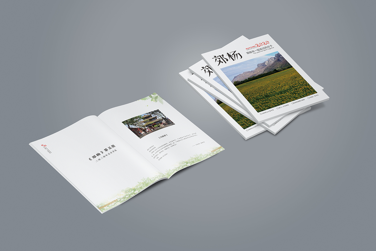 杂者/封面（图ZMjU2NzI1NTcy） - 书籍/画册 - 站酷设计师Shui广告设计原创素材 - 站酷ZCOOL