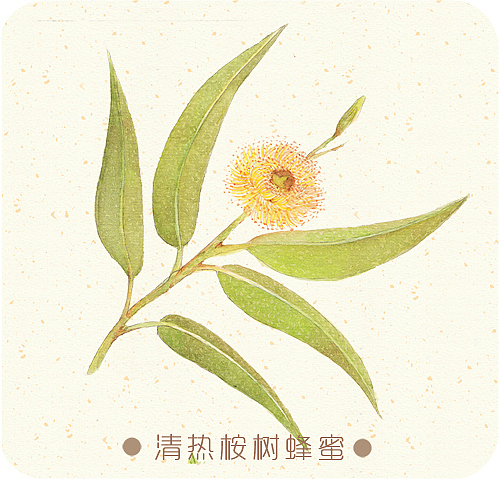 蜂蜜包装设计（图ZMTU5NDM1NTY=） - 包装 - 站酷设计师画画的lulu原创素材 - 站酷ZCOOL