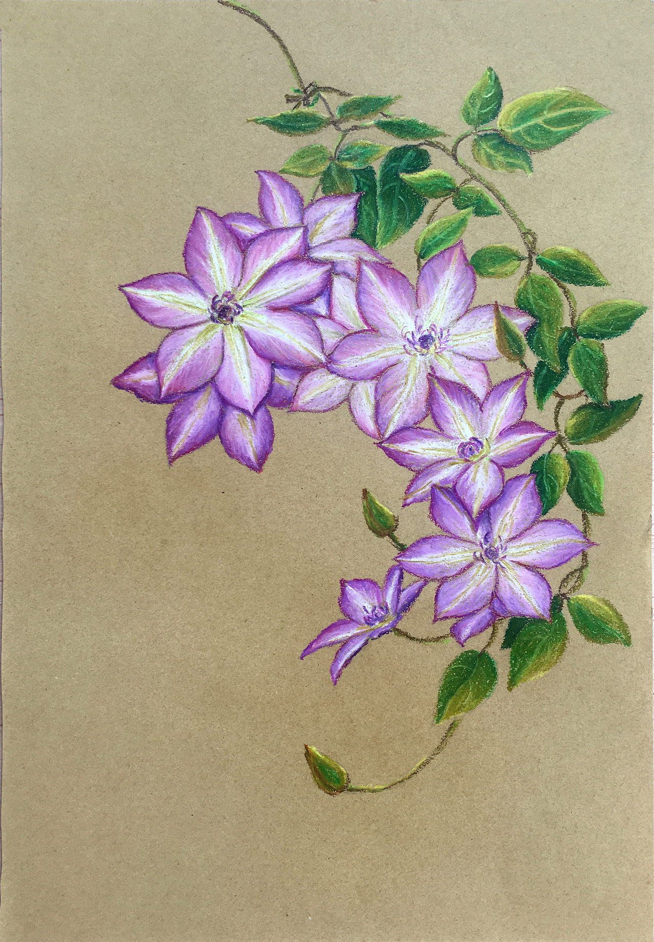 春日之花|纯艺术|绘画|gailcg - 原创作品 - 站酷 (zcool)